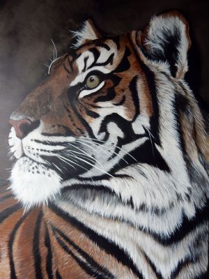 tiger